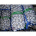 Garlic Red Garlic From Chinese Supplier High Quality